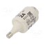 002312401 Fuse: fuse; 2A; 500VAC; 500VDC; gG; ceramic; DII; D 9lhY1nTkF5HJLF9xRUIPIh3p-TSrDiKiLAoJboMOHKA