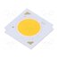 BXRH-30E4000-F-83 Power LED; white warm; COB; 38.4W; 3000K; 5445lm; 120°; CRImin: 80 OuIGy_tIAs3IO3i_85Ep6GjdygWYoBlwcE_B-Hri2QI