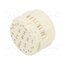 09151193001 Connector: M23; contact insert; PIN: 19(3+16); male; crimped; 100V BNZexWIvf1FXeeZjPl_CqKN4f35zgUMoCPGSA7P2NkA
