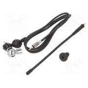 7667013 Antenna; automotive; 0.25m; AM,FM; universal; rubber mast; 1.5m BRiqgqLzOFCcaw60YOYBRtoANXYJDTQwr6G4wmUpXl4