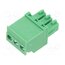 TS03315B0000G Connector: pluggable terminal block; plug; female; TS; 8A; 300V WcwyQ3AXvDnTF34sKiQnA4atF_KGJyUnPhN0KrwfeVk