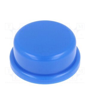 KTSC 22 B Button; none; TS 2x; Body: blue 5XH0dmXiy2MYI2FwEce7_2FGIeFzHDzfNeUC3X8XuZg