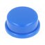 KTSC 22 B Button; none; TS 2x; Body: blue 5XH0dmXiy2MYI2FwEce7_2FGIeFzHDzfNeUC3X8XuZg