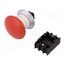 NDRZ50RT Switch: emergency stop; 22mm; Stabl.pos: 2; red; none; IP67; EF qM04xlppTlq0YzPNPPMHDf9t1xZqDQemas5Hw6UkzEE