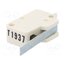 01006.0901-02 Microswitch SNAP ACTION; 10A/400VAC; with lever; SPDT; Pos: 2 zXVrvSZLTDKjONxBTkQf6U6nU4jubBZovnDdHEmG3gQ
