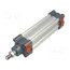 FMS040.0100.00 Profile cylinder; Piston diam: 16mm; Piston stroke: 100mm jDEAnxSCdkv1DNfDQ7zfgifImBKHfhnjZOKX66WOPy4