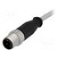 C21320000000001 Connector: M12; plug; male; PIN: 4; straight; cables; 2m RYewGTN59UC8Zs_an7JafqCLw6YgMA-UJGnbVgsHnrc