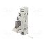 1SVR405600R1013 Relay: interface; SPDT; Ucoil: 24VDC; for DIN rail mounting; CR-P PBsxTHjl_R4gKzXfq85mkgr3pW8U96BW6tkXaONIqkk