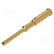 21011009928 Contact; male; gold-plated; 0.75mm2; grounding contact; crimped rcEIM4rONvHNIadywhes5UyX6GmM3IzECwZXVrG-K1w