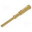 21011009928 Contact; male; gold-plated; 0.75mm2; grounding contact; crimped rcEIM4rONvHNIadywhes5UyX6GmM3IzECwZXVrG-K1w