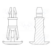 8G820V41216 Assembly stud; polyamide 66; L: 14.3mm; latch/latch; natural xfhTj3rua0_DMV642El8t_5dC-fLQSb2W36xfBuL5II