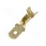 2673.05.00.9 Terminal: flat; 4.8mm; 0.5mm; male; 0.1÷1mm2; crimped; for cable rokScDMIH4Ori3QEMOkamSe9S8IL_LpiKzraJsyIsg0