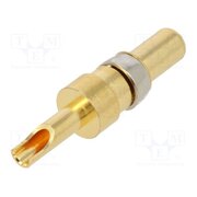 09030006101 Contact; male; soldering; for cable; 10A 5DnaAh3r2_FqqvMGp_VnDDsRvxMSO7tx2uwon8b5sBw