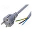 LT312 H05VV-F 3X1.0 1.8M GRY Cable; 3x1mm2; CEE 7/7 (E/F) plug,wires; PVC; 1.8m; grey; 16A; 250V p0_9gb8USBlV2-ooluIqhzOZVxcVN775WPyMFwdRvXU