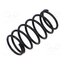M 5000 (CODE MR5) Spring 17zx4ZXSG14geqsEANRkCw-EJ29Oy4Nk4wEhL3WHffo