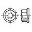 3092379 Nut; with flange; hexagonal; M12; 1.75; steel; Plating: zinc; 18mm HoyWjv7iM829NoxlPaLq-fbwHvijbOMWOSRivUUbQpM