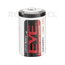 LIČIO ELEMENTAS (BATERIJA) 1/2AA 3.6V 1200mAh ER14250 BL1_2AAEV.jpg