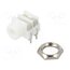 CL1384W Connector: Jack 3,5mm; socket; female; mono; ways: 2; angled 90° DSFLc_crMog1fvdSmJb-wGbLowTWFAXIs7Mumwlj-q8