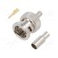 031-71013-RFX Connector: BNC; plug; male; straight; 75Ω; soldering,crimped; POM trlOkS-Qis5549xpSt2vp_POmUeHv7ohlIHXfFGxIqs
