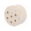 09151063001 Connector: M23; contact insert; PIN: 6; male; crimped; w/o contacts YGnVWoZwuEdDggEOSk6TCl36YXepvGjGQpqnNPcO274