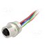21033532C00 Connector: M12; socket; PIN: 12; female; straight; cables; 0.5m YRYGXuHfWUvRGcHZdpEPojYe3dVwBuhtxXtYNTXH2qQ