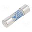 6003434.16 Fuse: fuse; 16A; 600VAC; gRL,gS; ceramic,cylindrical; 10.3x38mm _haF0IRytGjLgcaTArkZdeKC51B3AV2K2HrvgvbNKSQ