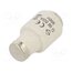 LE33F50 Fuse: fuse; 50A; 500VAC; gF,quick blow; DIII XE9lbRaUcNi2ForosTQzsFCzqhWdVHIbgqKvCTqUjC0