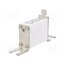 170M1419 Fuse: fuse; 160A; 690VAC; aR,quick blow; ceramic,industrial; NH000 GcwJO6-E1g77ocg9nAJ4FljUY6hXzCuwxRyckU_rWH8