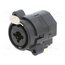 NCJ9FI-H Connector: Jack 6,3mm + XLR; socket; female; angled 90°; THT; 3A gqL2DInUlOXWpdKdJg0Vjt5FbtkOC99w4j8L7FSbf-g