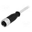 C21320000000034 Connector: M12; plug; female; PIN: 4; straight; cables; 0.5m BUudulht0hdbqGfoneAmATf1RMG5cSsEhJ5IwTtNNNo