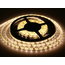 LED juosta 12V 9.6W/m, ilgis 2.5cm, neultraliai balta IP20 1142Lm/m 4000K, 120LED/m, 40mod/m, CRI>80, ritėje 5m, garantija:60mėn. PLDJXXBDS.jpg