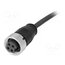 21349700496100 Connector: 7/8"; plug; 10m; female; PIN: 4; straight; with lead 2IoQFfJ9Y9FqnubOPxmof79U7vTOuGYNkGnWKKlILRg