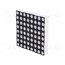 KWM-50881CSB Display: LED; matrix; 8x8; red; 6÷12mcd; cathode; 60.2x60.2mm AopjX8cJTMUUXSVp0TBLHGa4L8SYaXsEw-CSHfoMeH0