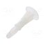 8G820V40622 Assembly stud; polyamide; L: 11.1mm; latch/latch; Ø2: 4.75mm zloGZTgovJms4EYPyeP9Gc9IttQlOOpeoSad9H1_uMI