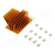 ATS-1101-C1-R0 Heatsink: extruded; grilled; BGA; golden; L: 58mm; W: 37mm; H: 22.9mm WXfJudg6yqMmoj9rjazkc1szuOHMEwdJi6dzWoDO4GM