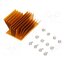 ATS-1101-C1-R0 Heatsink: extruded; grilled; BGA; golden; L: 58mm; W: 37mm; H: 22.9mm WXfJudg6yqMmoj9rjazkc1szuOHMEwdJi6dzWoDO4GM