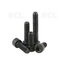 SCREW M3x8mm HEX 2, DIN912,  black finish IT12MxxxJ.jpg