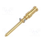 CDMD 0.3 Contact; male; copper alloy; gold-plated; 0.14÷0.37mm2; crimped 0_0vt15gLOJBPTMaYIN7Hs2Tzp0UaMqfV9KLVIdz9q4
