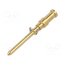 CDMD 0.3 Contact; male; copper alloy; gold-plated; 0.14÷0.37mm2; crimped 0_0vt15gLOJBPTMaYIN7Hs2Tzp0UaMqfV9KLVIdz9q4