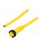 KR0500115 YL357 Cable: for sensors/automation; 7/8”; PIN: 5; straight; 3m; plug _qAJU2EsOwkcs6-0vVDNQiWtu8XERNAx0ddYrWpscXg
