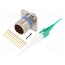 D38999/20FB35PN Connector: military; socket; male; PIN: 13; straight; crimped; 5A 8vY2rTZKI6NnYrIIycRNIs8NAv8n4KHvCDRDpeWXRPc