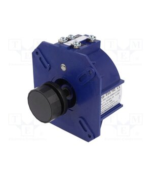 ESS 102 Variable autotransformer; 230VAC; Uout: 1÷250V; 2A 46tV2M0_1751D0kOKuUOGjBYSjuRIHijLN1LZEEcGSA