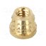073M1.6 Threaded insert; brass; M1,6; BN 37901; L: 2mm; for plastic k6bUt6aXwd7sCYcv9DyazHk1JVS0CMvK7QR4v-dGc6c