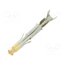170365-3 Contact; female; Mini Universal MATE-N-LOK; brass; 0.12÷0.3mm2 ueUhs8KBiPPevgN-Cjp6SukgBbQf0YdyVYtkMSal6bo