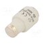 LE3350 Fuse: fuse; 50A; 500VAC; gG,time-lag; DIII N_363IRwZy-y3rMGZ5oc29af2CZdxiq4f0bPqaGKQDw