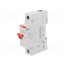 2CDD271111R0016 Switch-disconnector; Poles: 1; for DIN rail mounting; 16A; 240VAC UvmKavWYUkOKuUD6N9Vro0TWXwbZ94ZQil5NsCeDsx4