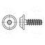 3187113 Screw; for plastic; 2.2x10; Head: button; Torx® PLUS; 6IP; steel BlyqxXh9dJwEcwwe73tFW4qVQ7ZFUCvf0it4H_pqVFM