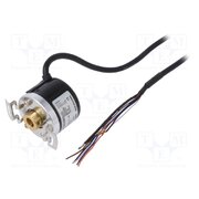 E40H8-1024-3-T-24 Encoder: incremental; Usup: 12÷24VDC; 1024imp/revol; IP50; 2m 8-6j9gl--Axxmecpa2LVAofuDDUBC83wLeQmRo5LQp8