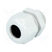 19000005184 Gland; IP68; thermoplastic; M20; 10÷14mm; grey jIyBMUiQHQyMcQB-oWQvriU-QinEkPaCg1dj_1YOcBc