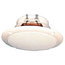 GARSIAKALBIS  PJ   FR 10WP   4Ω, baltas, Visaton GAVSPFR10WP.jpg